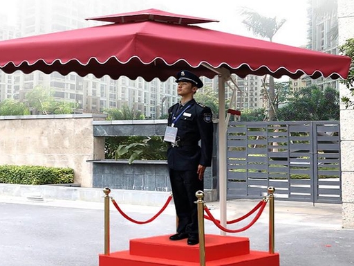 保安行业在社会安全 治理体系中的定位与作用